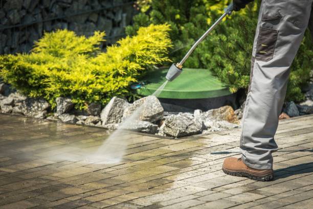 Best Rust Removal  in Rheems, PA